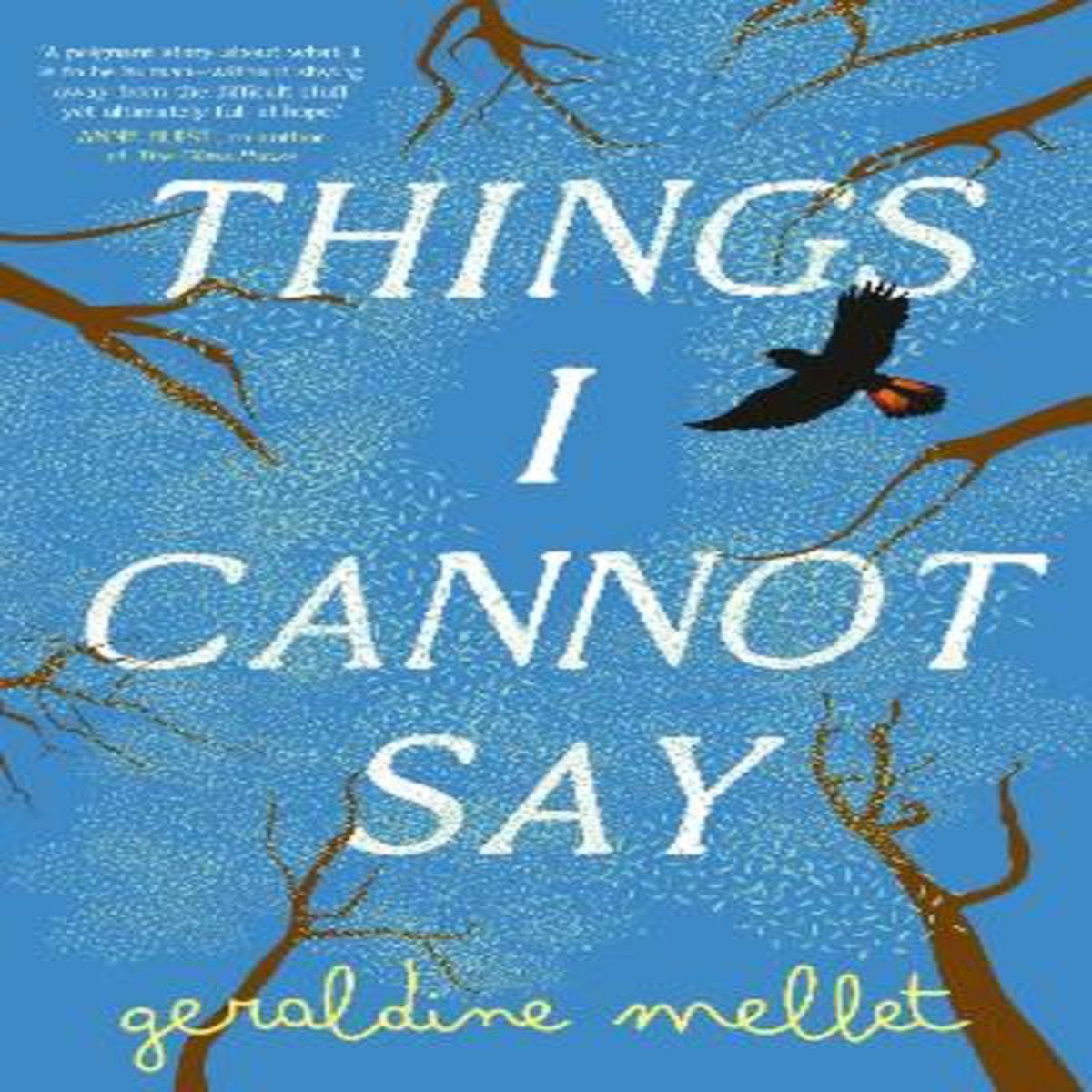 things-i-cannot-say